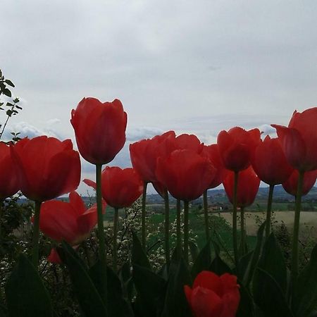 B&B Monferrato La Casa Sui Tetti Murisengo Kültér fotó