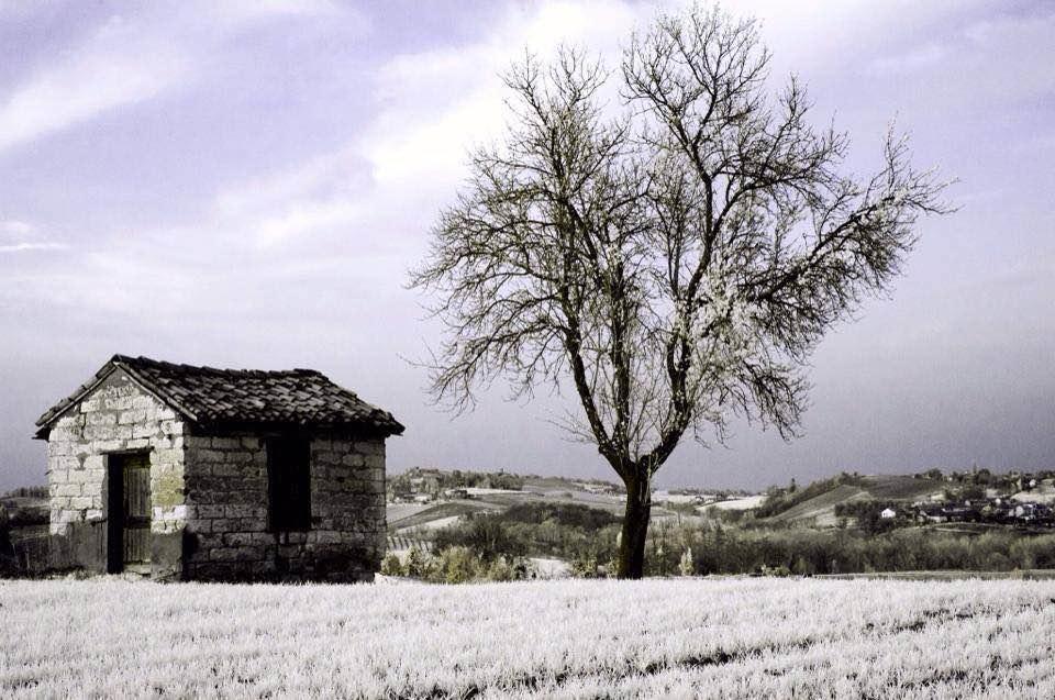 B&B Monferrato La Casa Sui Tetti Murisengo Kültér fotó