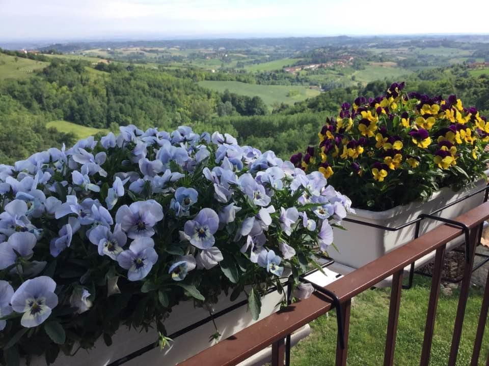 B&B Monferrato La Casa Sui Tetti Murisengo Kültér fotó