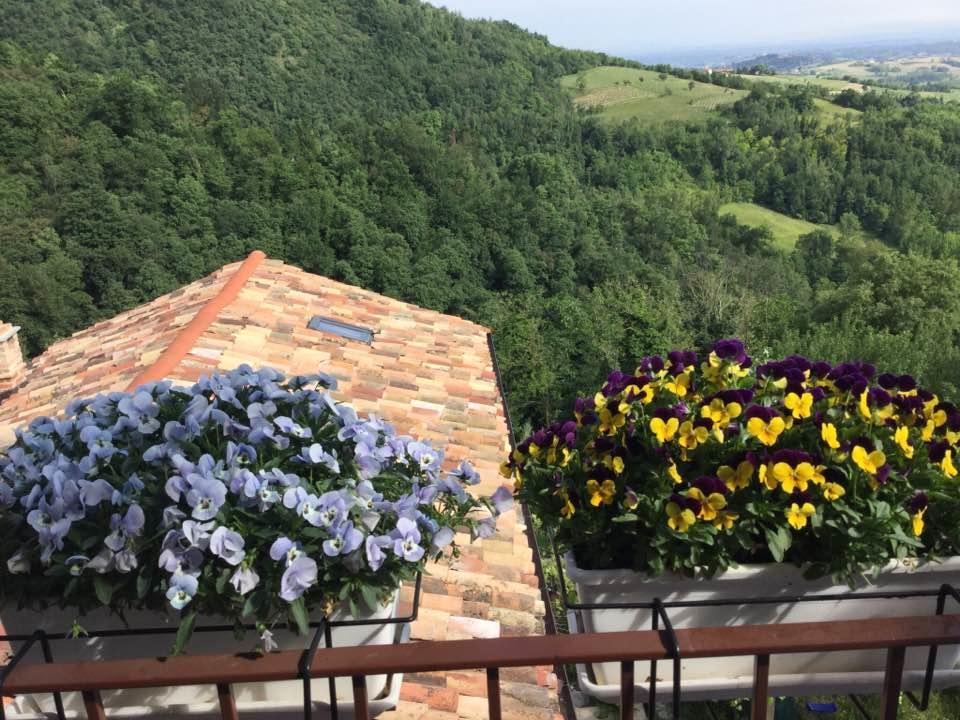 B&B Monferrato La Casa Sui Tetti Murisengo Kültér fotó