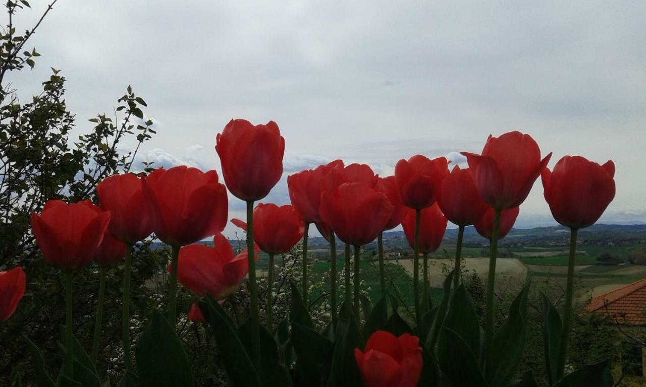 B&B Monferrato La Casa Sui Tetti Murisengo Kültér fotó